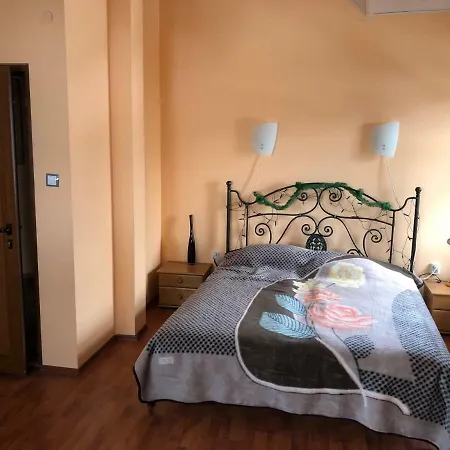 Rilski Bars Guest house *