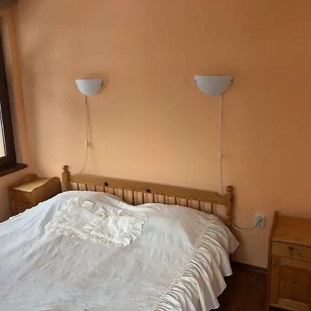Rilski Bars Guest house *