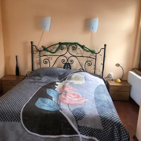 Rilski Bars * Sapareva Banya